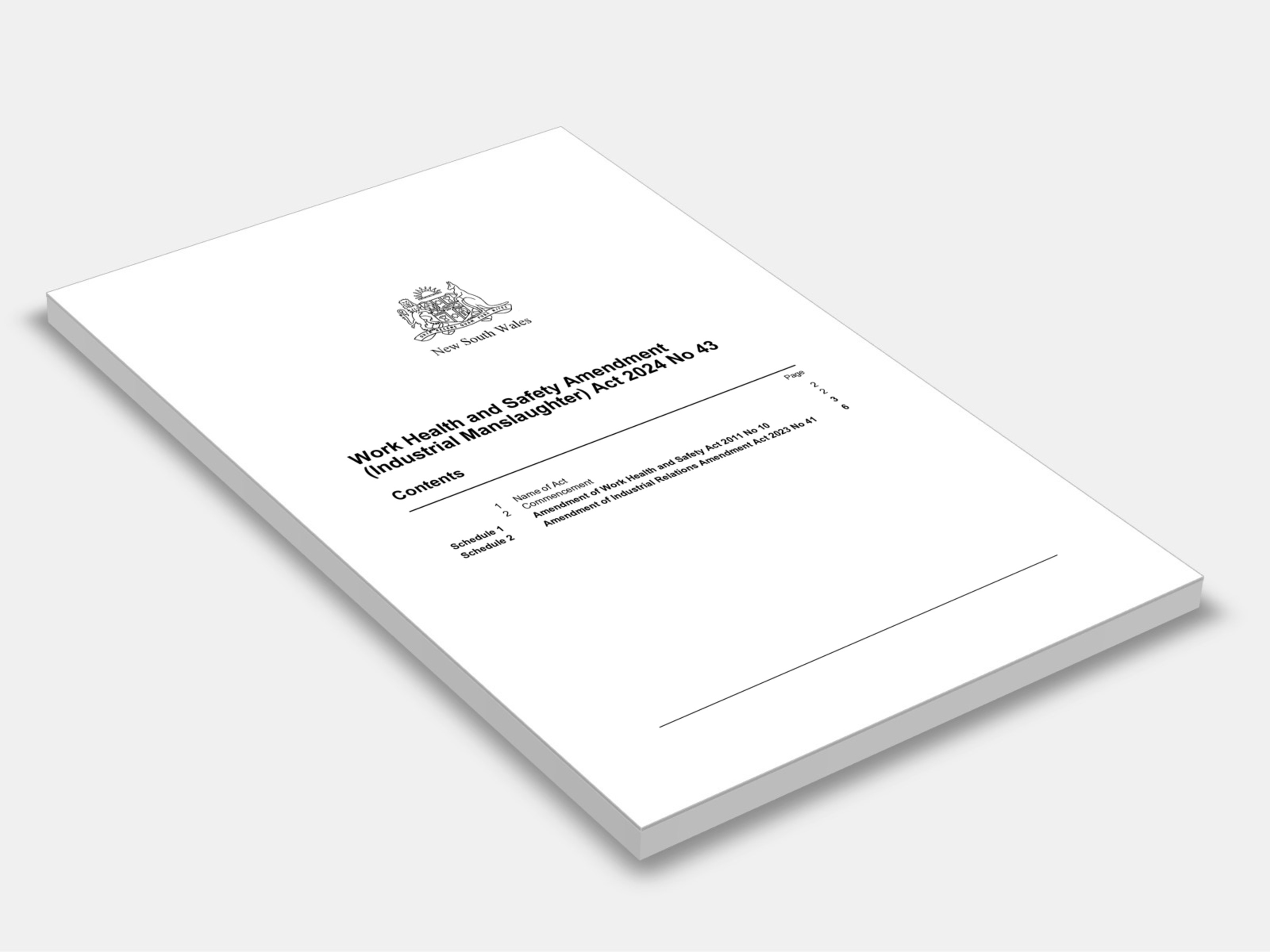 Work Health and Safety Amendment (Industrial Manslaughter) Act 2024 No 43 cover