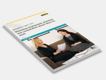 Providing employment, planning and consultation about return to work 1st edition, 2007. cover